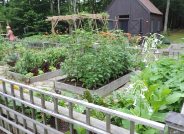 raised-vegetable-garden-beds