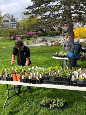 2024-Annual-Plant-Sale-IMG_1230