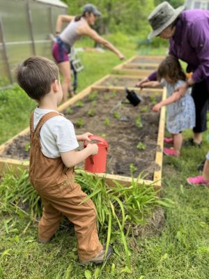 Young gardener at L.O.C.A.L. (KELT) garden